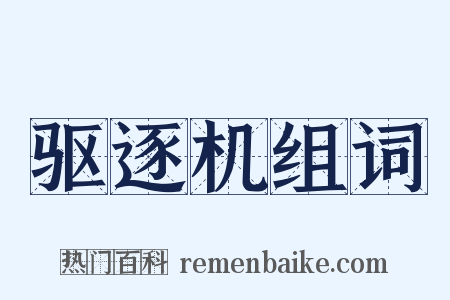 驱逐机组词是什么意思的图片
